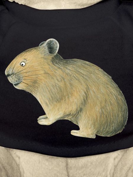 Pika