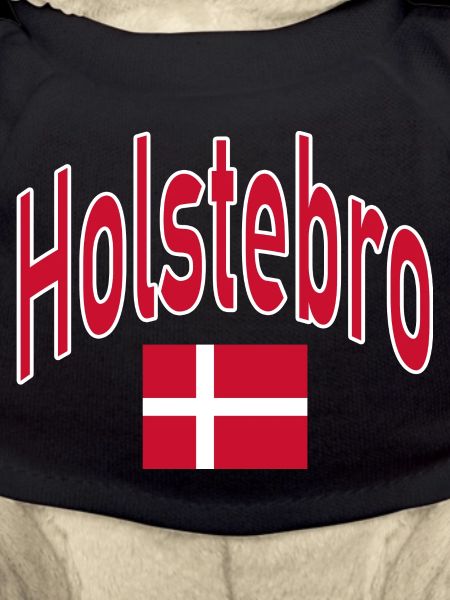 Holstebro Denmark flag