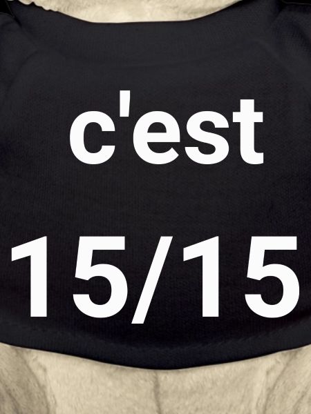 c est 1515