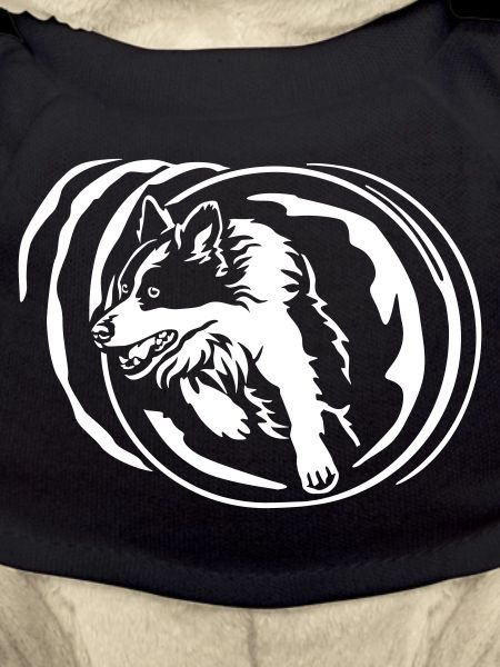 Border Collie « Black Edition »