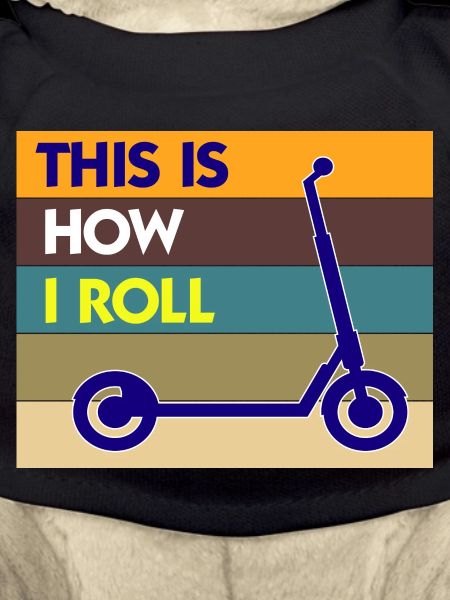 E-Scooter Roller Scooter