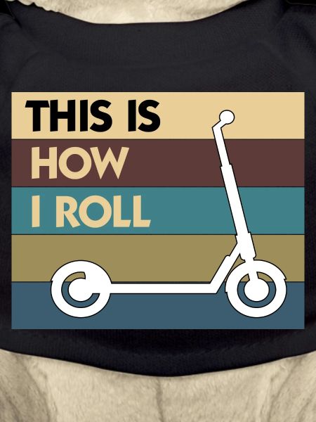 E-Scooter Roller Scooter