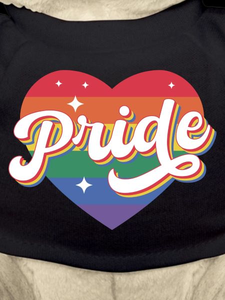 Pride Rainbow Heart