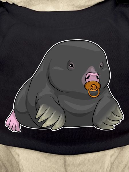 Mole Baby Pacifier