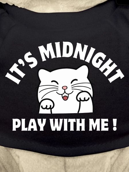 Midnight, Cat, Cat Humor
