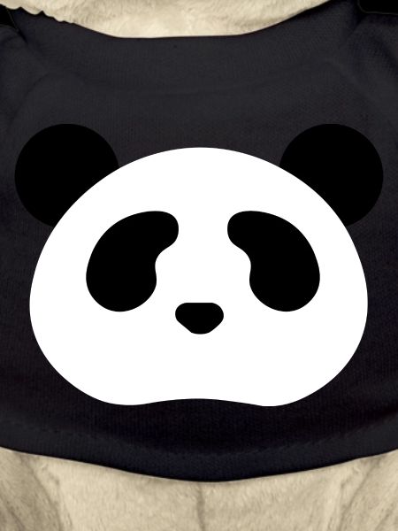 Panda Ours
