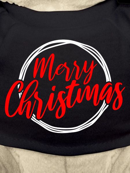 Joyeux Noël Script Circle