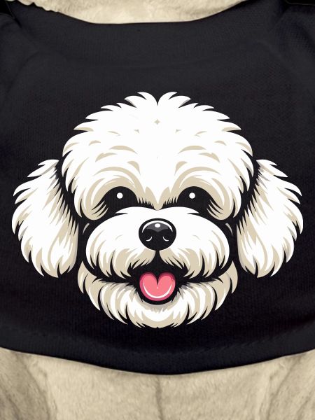 Bichon