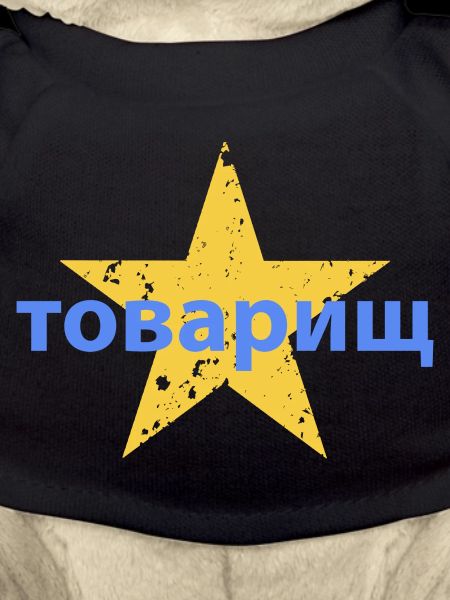 товарищ