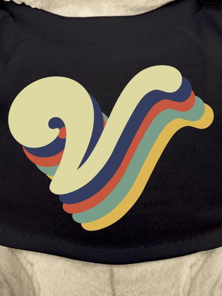 Retro V Letter