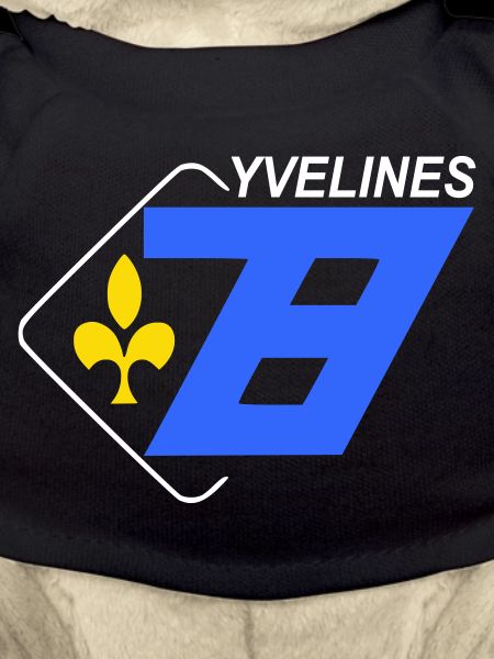 Yvelines