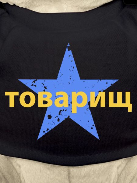 товарищ