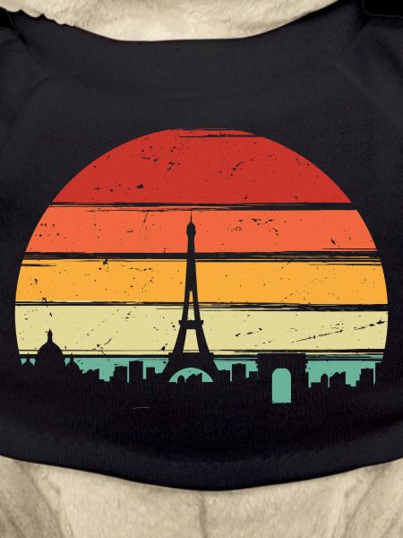 Sunset Eiffel Tower