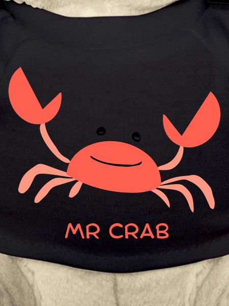 Mr Crab