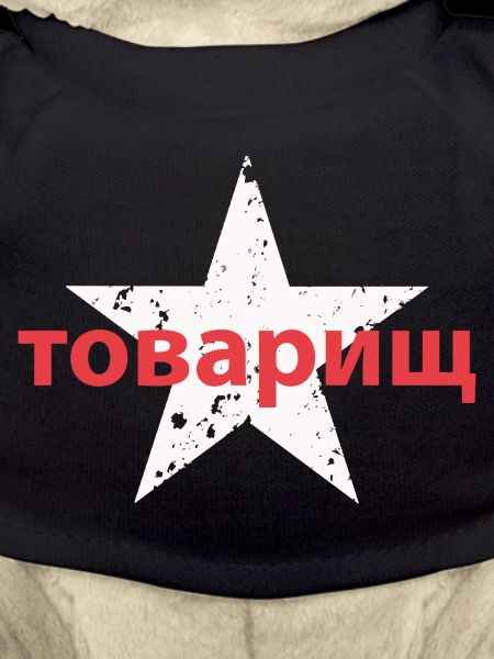 товарищ