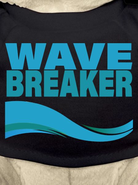 WAVE BREAKER