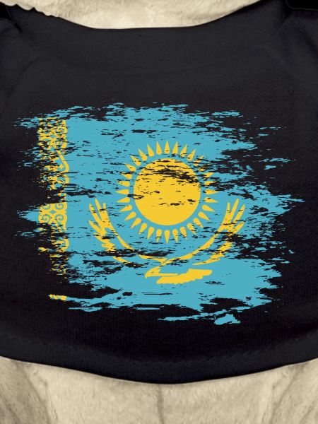 Kazakhstan flag used
