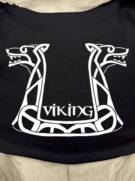 Dragon blanc viking