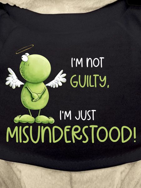 Frog Angel Innocence Misunderstanding