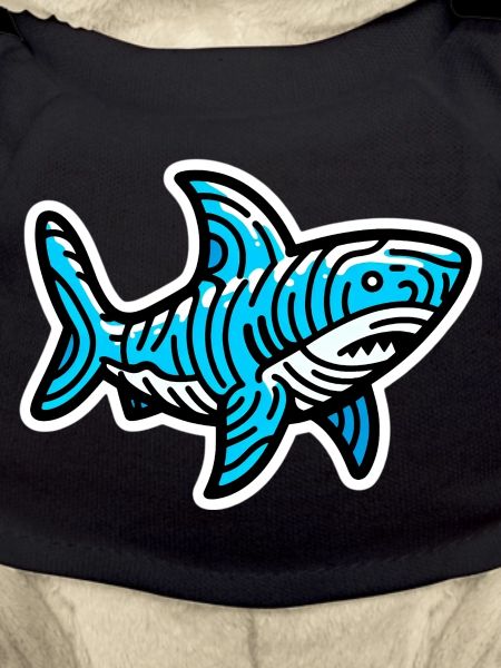 Shark
