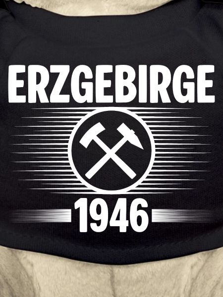 Erzgebirge 1946