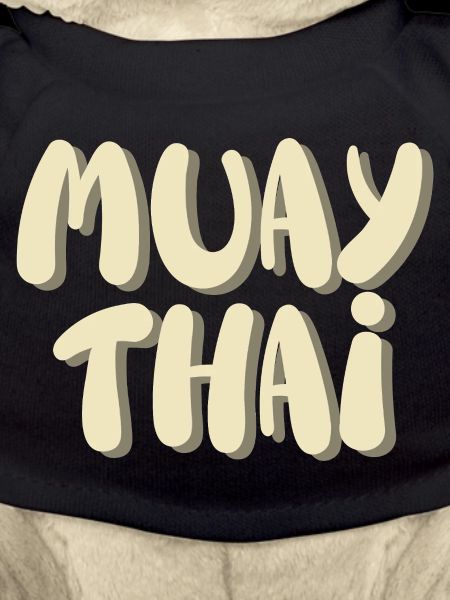 Muay thaï