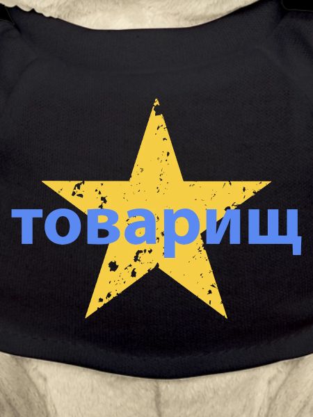 товарищ