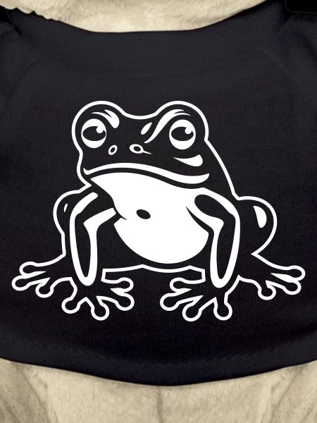 Frosch Tier