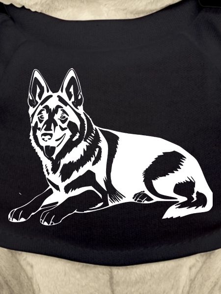Chien de berger