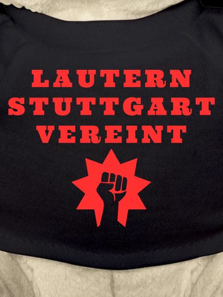 Kaiserslautern and Stuttgart united