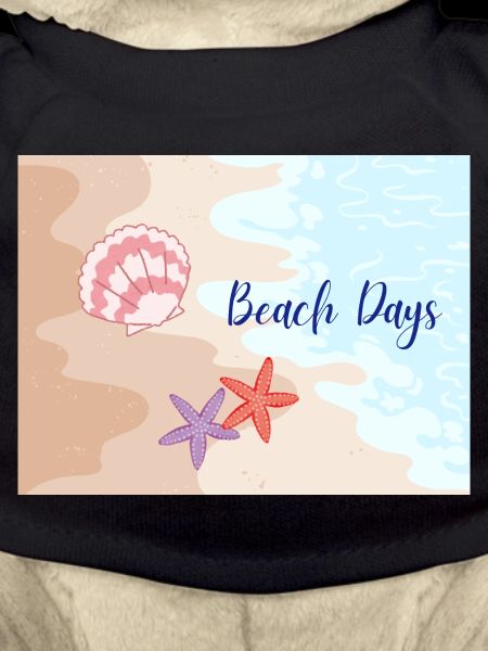 Beach Days Beach Motifs Starfish