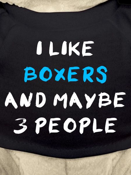 Boxer Dog