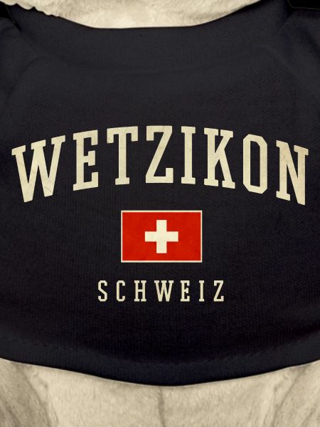 Wetzikon Switzerland Flag Logo