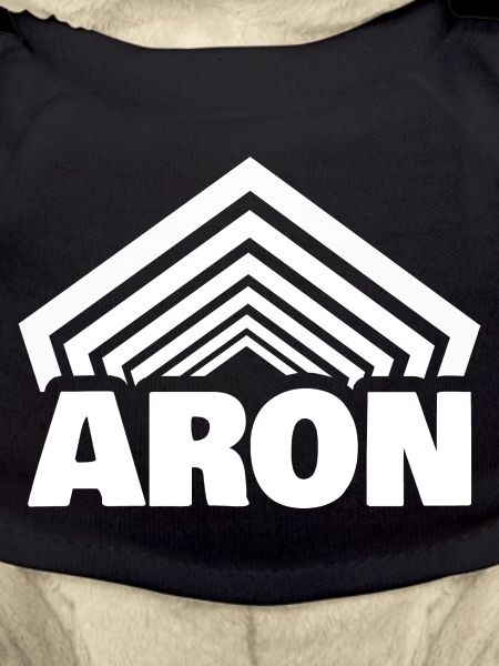 First name Aron