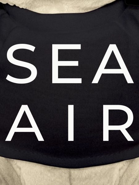 SEA AIR