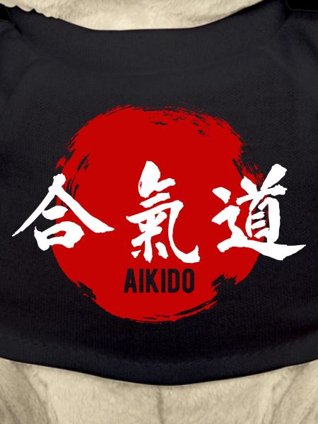 Aikido Martial Arts Kanji