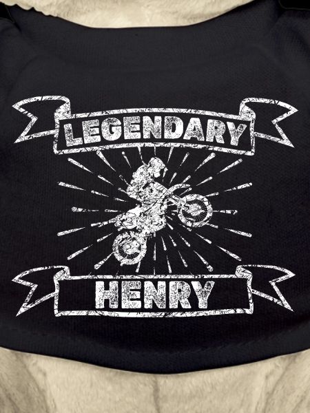 Biker Henry