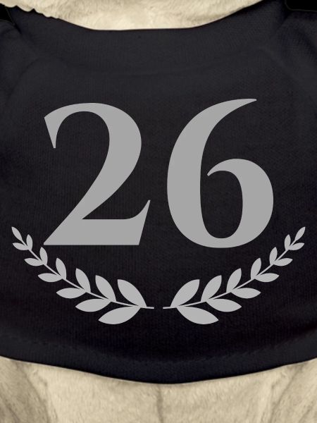26