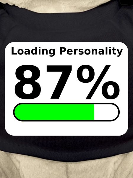 Loading Personality 87% – Nerdy Statement Tee