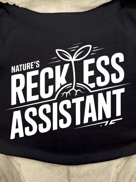 Nature's Reckless Assistant