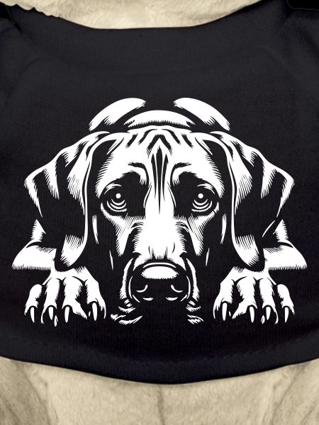 Rhodesian Ridgeback « Édition Noire »