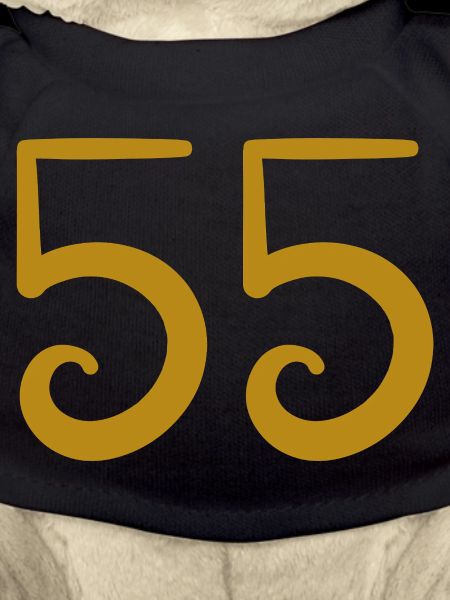 55
