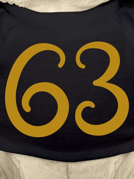 63