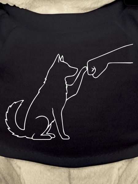 Équipe Husky Faust