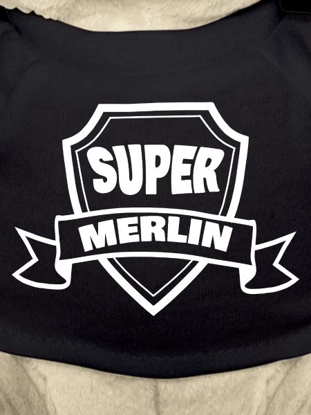Merlin
