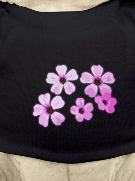 Fleurs