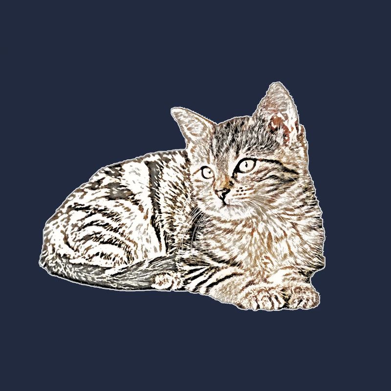 Süsse katze