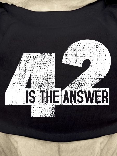 The Answer Is 42