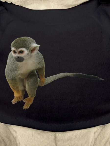 Affe