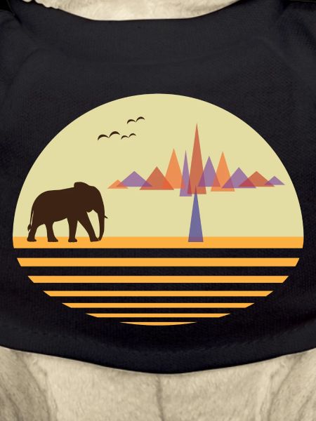 Desert Africa